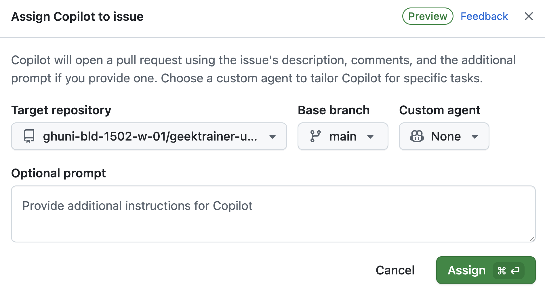 Copilot assignment details